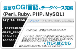 豊富なCGI言語、データベース完備（Perl、Ruby、PHP、MySQL）